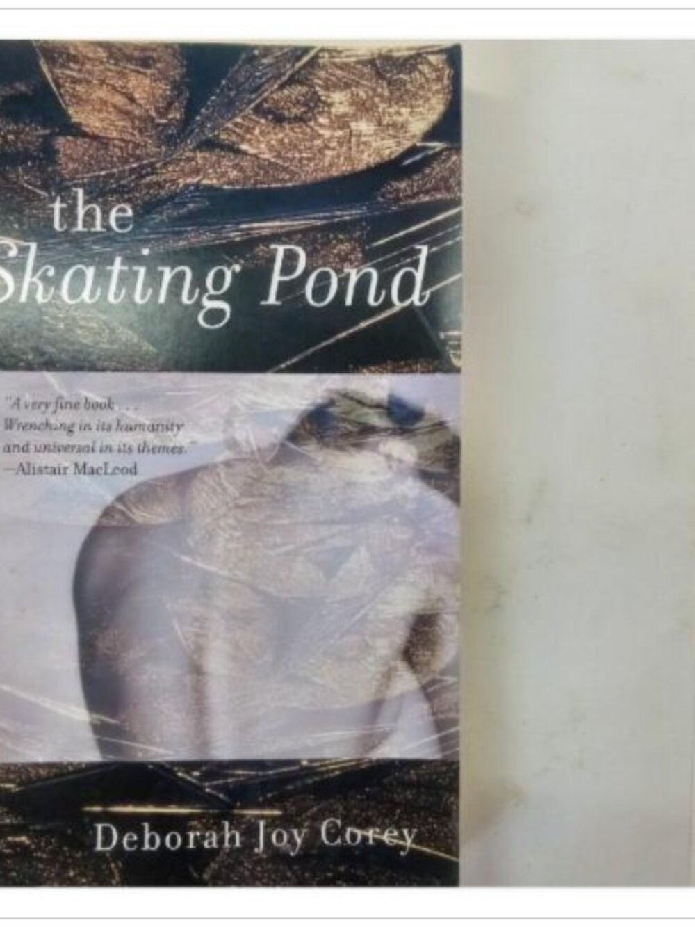 The Skating Pond Vintage Canada Random House 2004 PB